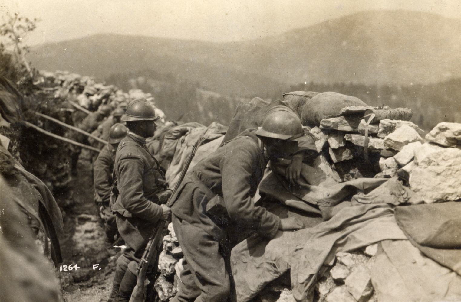 Una tranquilla settimana di guerra (agosto 1915)