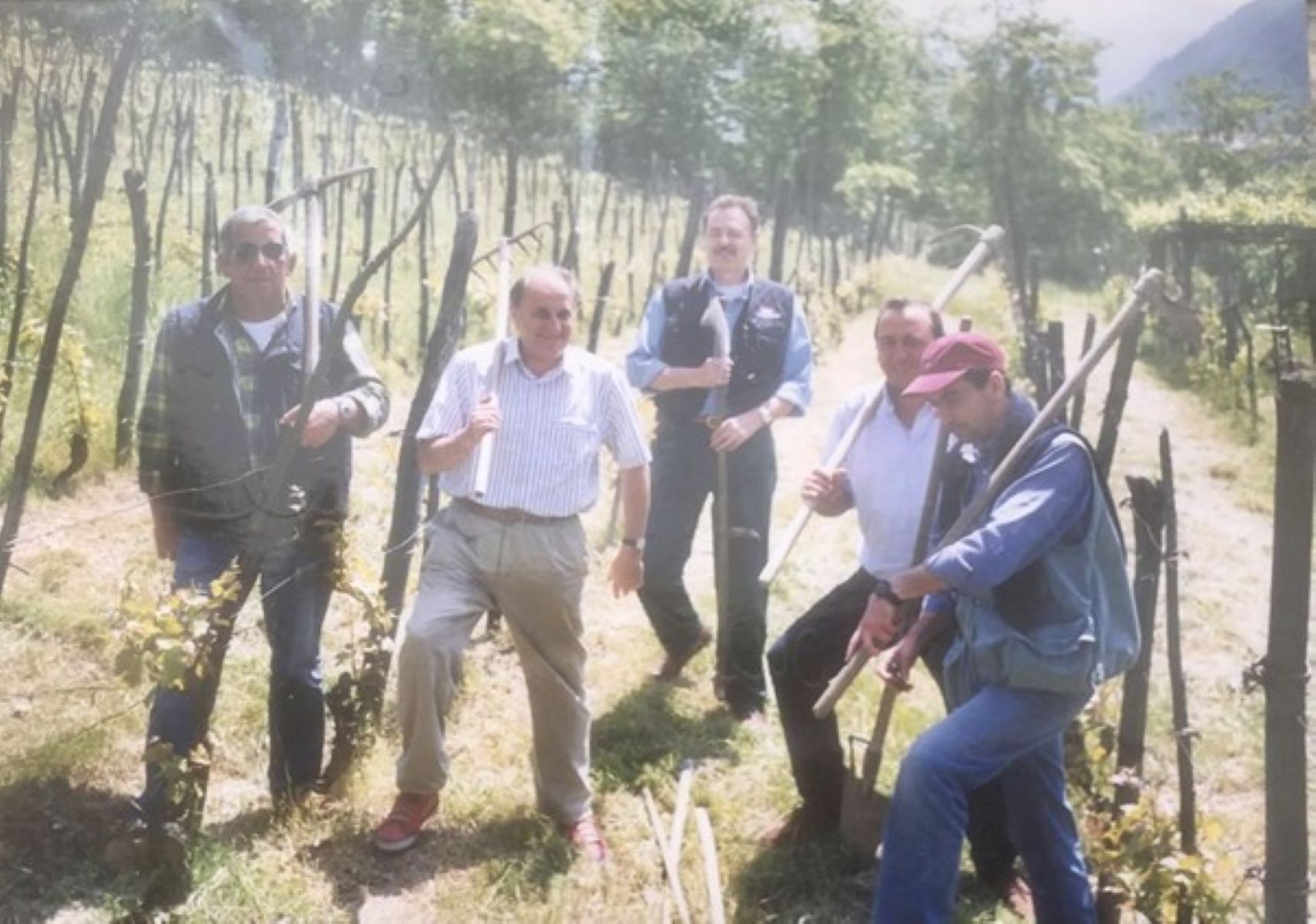 L’ultima vigna a Chitandrino